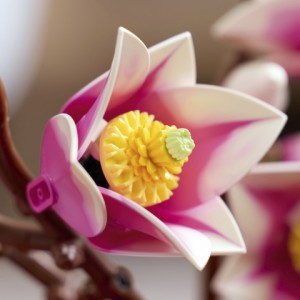 Новинки березня 2026 року