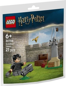 Конструктор LEGO® HARRY POTTER™ Урок з Квідичу Конструктор LEGO® HARRY POTTER™ Урок з Квідичу