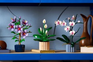 Конструктор LEGO® Ботаніка Спатифілум