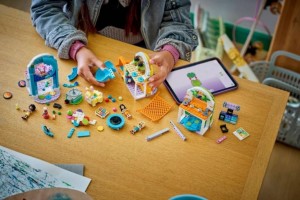 Конструктор LEGO® Friends Веселий критий ігровий майданчик